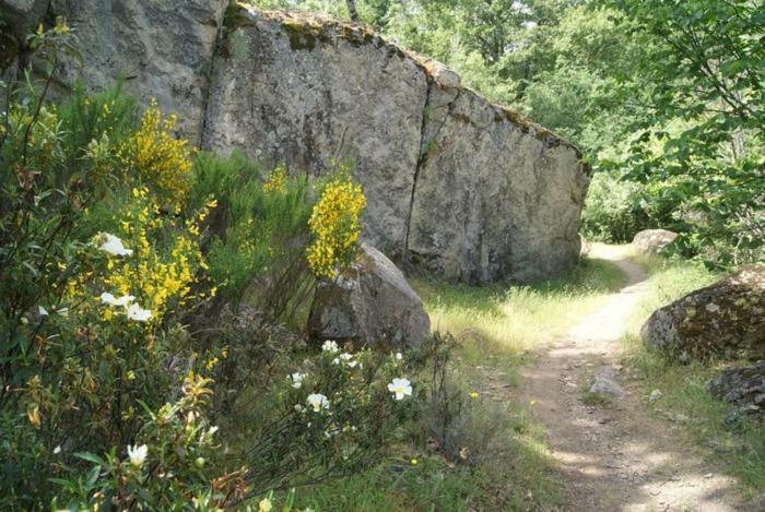 Casa Rural Cabeza Lobera Villanueva de Avila 외부 사진